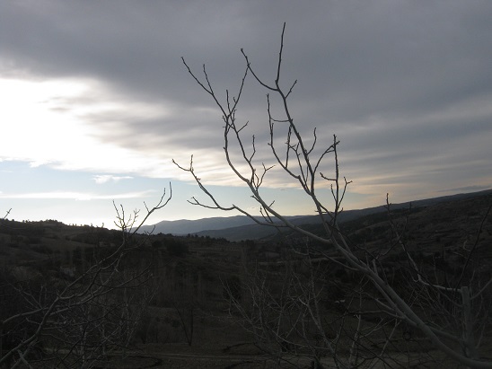 Name:  akam zeri.jpg
Views: 1392
Size:  62.4 KB