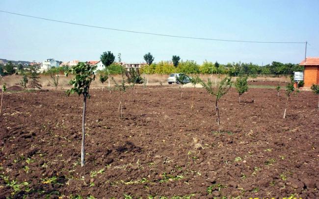 Name:  bahce ilk zaman.jpg
Views: 3402
Size:  61.1 KB