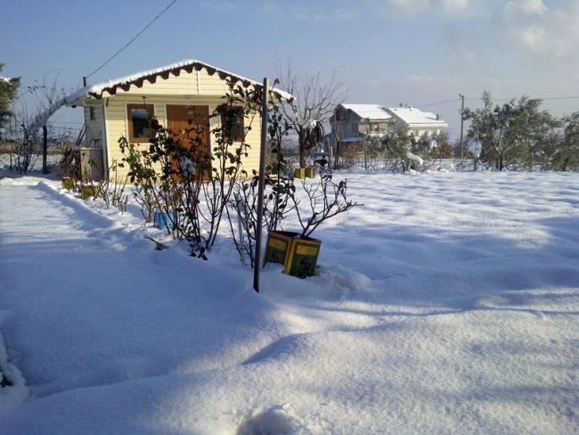 Name:  1-Kulube karlar altnda.jpg
Views: 3012
Size:  53.6 KB