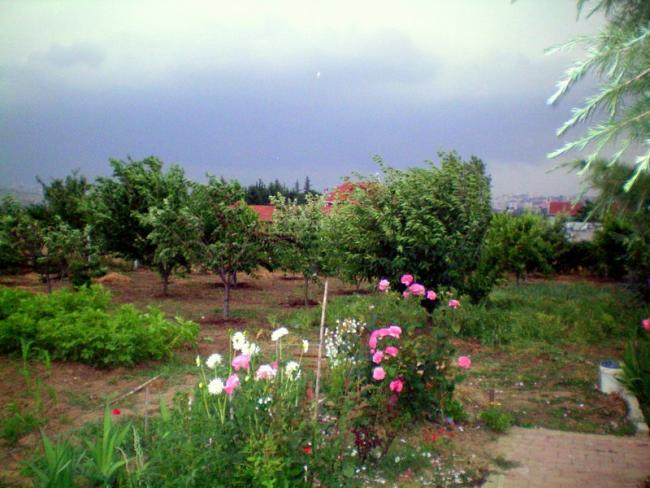 Name:  bahcede firtina.jpg
Views: 3057
Size:  53.6 KB
