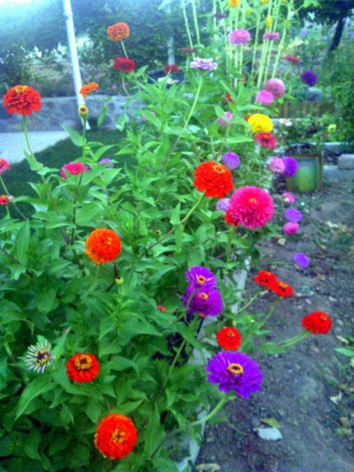 Name:  1-kirlihanimlar.jpg
Views: 3032
Size:  69.7 KB