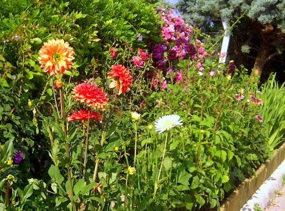 Name:  1-yldizlar.jpg
Views: 2912
Size:  74.1 KB