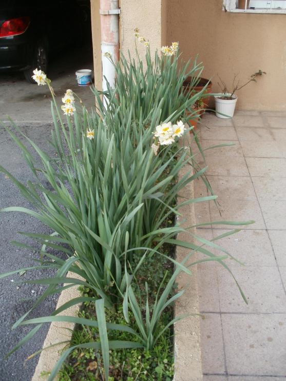 Name:  P1010148a.jpg
Views: 517
Size:  72.0 KB