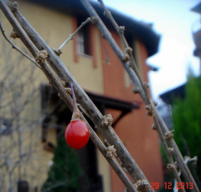 Name:  DSC02761.jpg
Views: 1006
Size:  40.7 KB