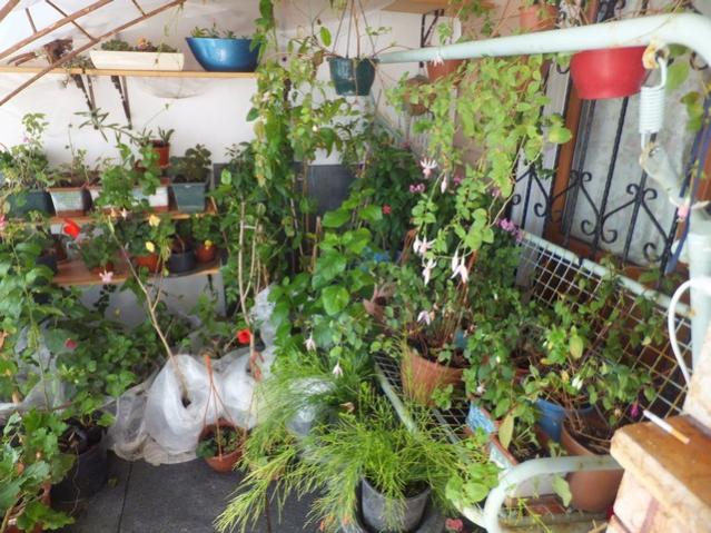 Name:  DSCF3629.jpg
Views: 232
Size:  69.0 KB
