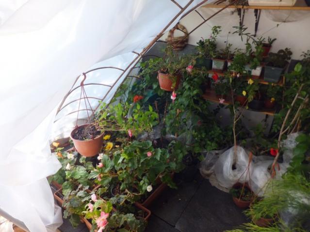 Name:  DSCF3630.jpg
Views: 220
Size:  43.9 KB