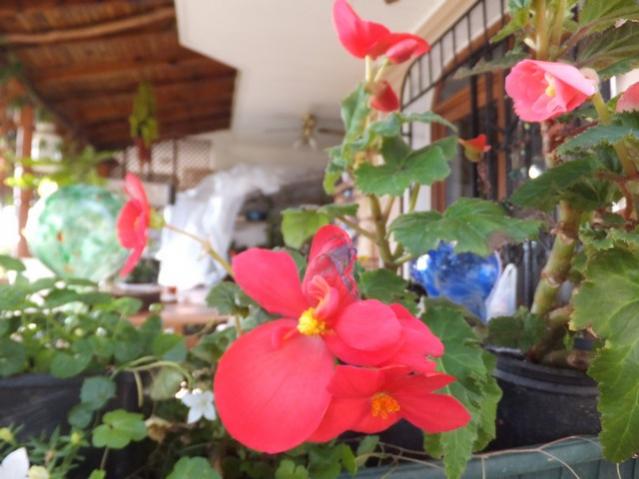 Name:  DSCF3665.jpg
Views: 245
Size:  42.1 KB