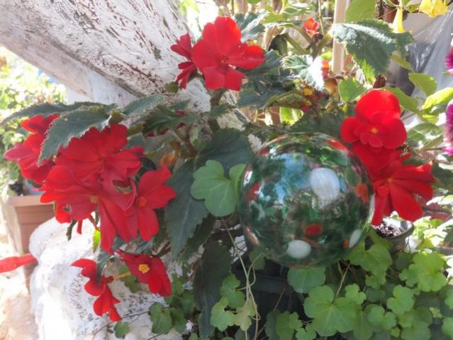 Name:  DSCF3669.jpg
Views: 258
Size:  55.3 KB