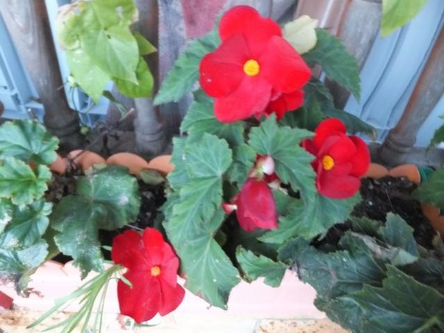 Name:  DSCF3672.jpg
Views: 253
Size:  44.0 KB
