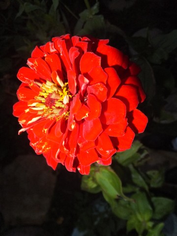 Name:  DSCF3726.jpg
Views: 225
Size:  49.6 KB