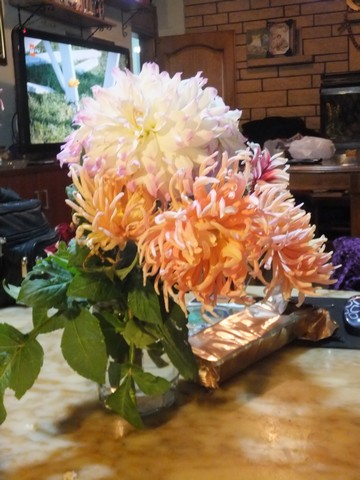 Name:  DSCF3779.jpg
Views: 231
Size:  66.0 KB