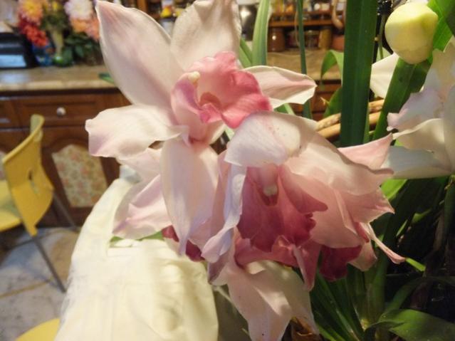 Name:  DSCF3784.jpg
Views: 234
Size:  37.7 KB