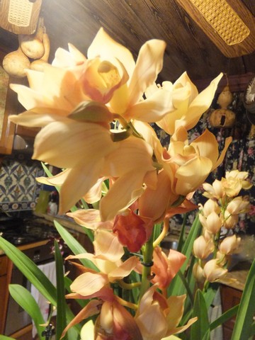Name:  DSCF3786.jpg
Views: 227
Size:  68.9 KB