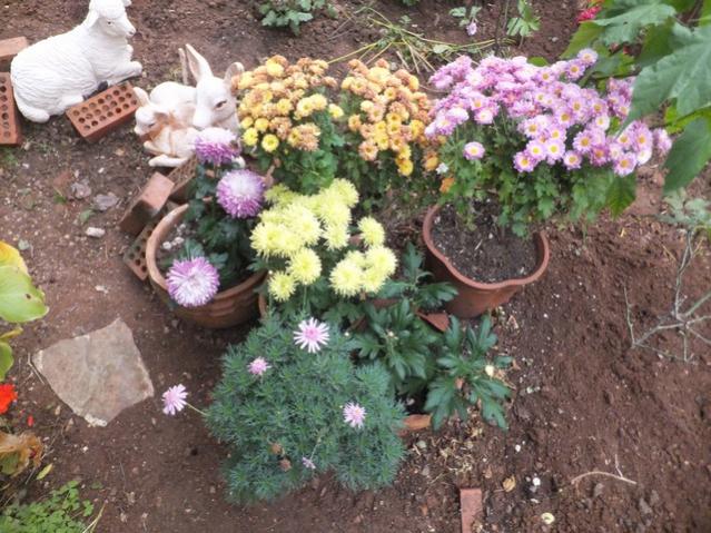 Name:  DSCF3813.jpg
Views: 206
Size:  69.8 KB