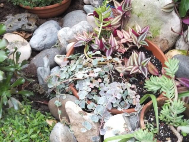 Name:  DSCF3836.jpg
Views: 201
Size:  63.9 KB