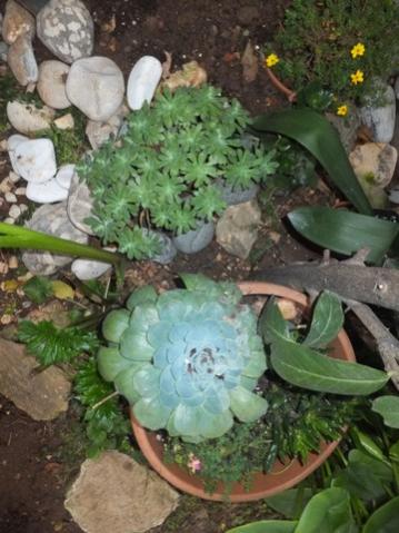 Name:  DSCF3847.jpg
Views: 191
Size:  35.3 KB