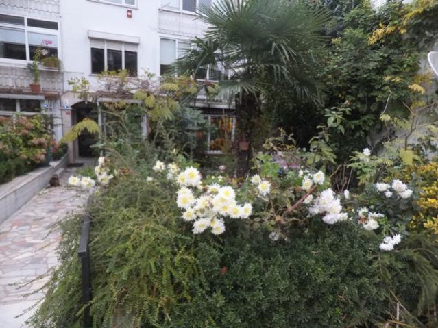 Name:  DSCF3874.jpg
Views: 394
Size:  64.3 KB
