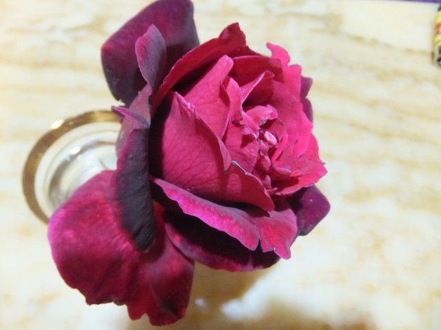 Name:  DSCF3892.jpg
Views: 354
Size:  59.8 KB