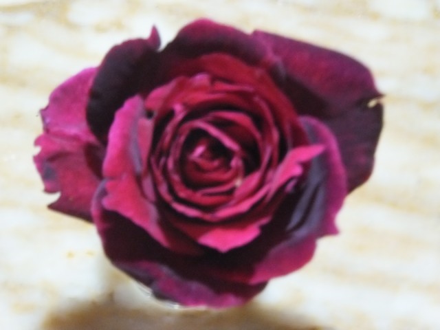 Name:  DSCF3894.jpg
Views: 370
Size:  52.6 KB