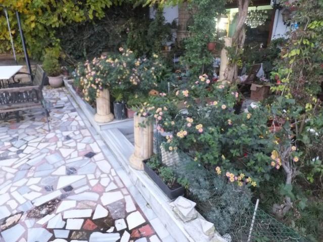 Name:  DSCF3909.jpg
Views: 372
Size:  64.4 KB