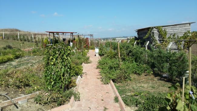 Name:  20131009_131022.jpg
Views: 928
Size:  54.9 KB