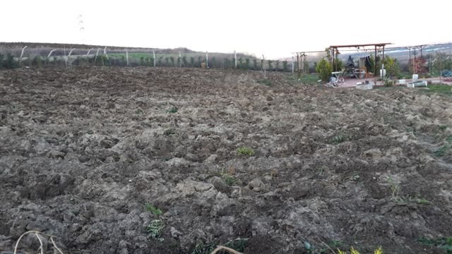 Name:  20131108_163438.jpg
Views: 849
Size:  58.3 KB