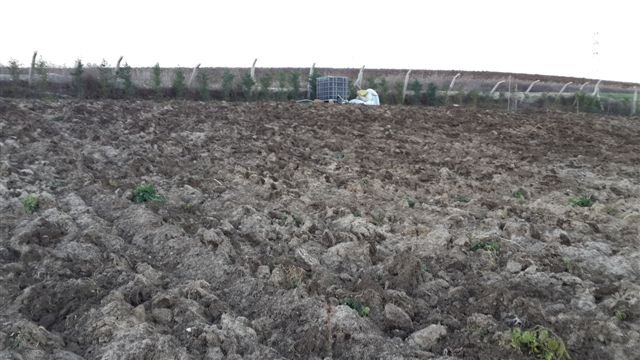 Name:  20131108_163544.jpg
Views: 863
Size:  56.7 KB