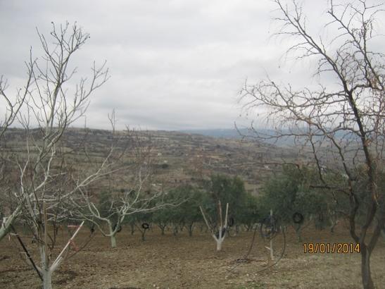 Name:  bulutlu.jpg
Views: 1100
Size:  38.3 KB