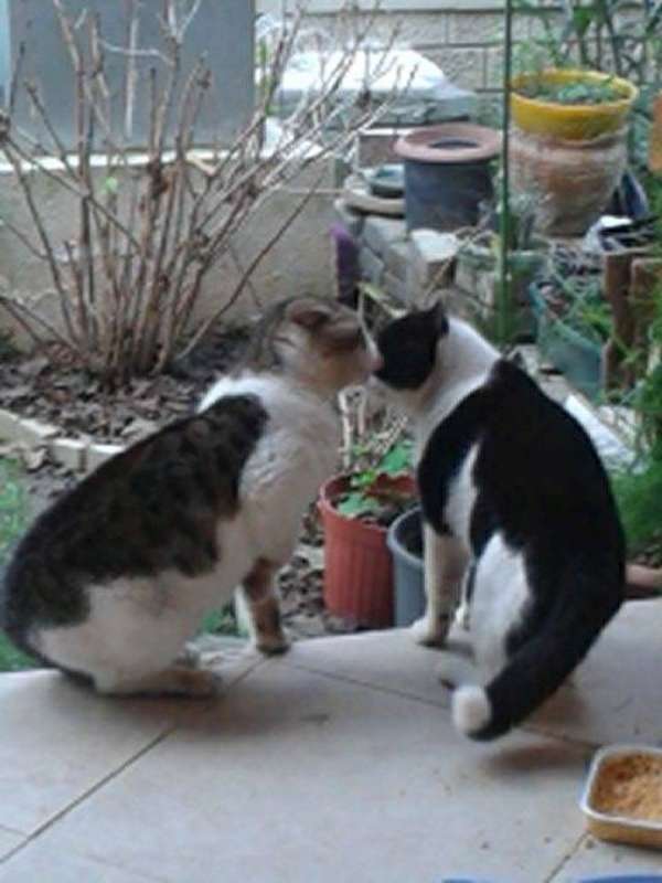 Name:  Resim 690-800.jpg
Views: 766
Size:  42.8 KB