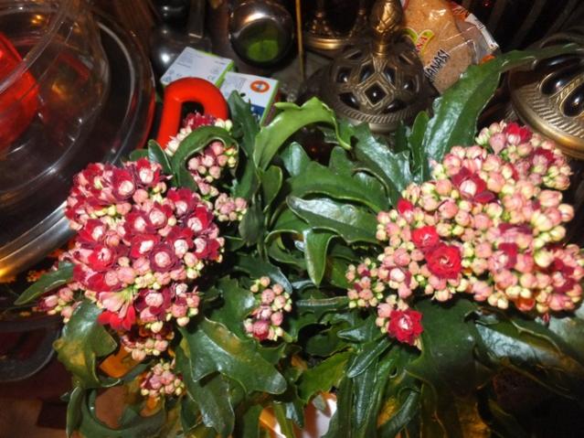 Name:  DSCF3934.jpg
Views: 267
Size:  63.3 KB