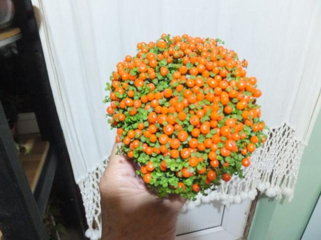 Name:  DSCF3989.jpg
Views: 295
Size:  41.0 KB