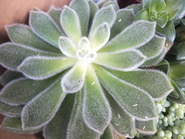 Name:  DSCF4002.jpg
Views: 285
Size:  50.7 KB