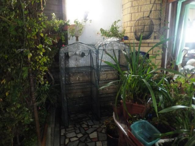 Name:  DSCF4031.jpg
Views: 274
Size:  45.7 KB