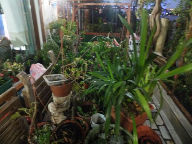 Name:  DSCF4033.jpg
Views: 300
Size:  49.2 KB