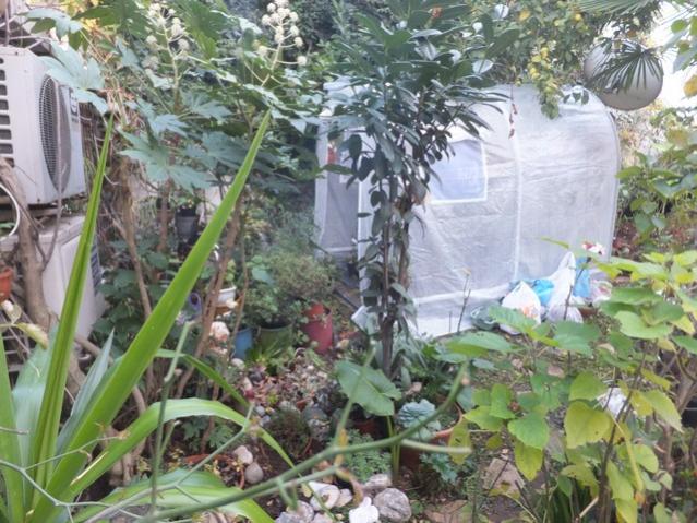 Name:  DSCF4085.jpg
Views: 263
Size:  68.6 KB
