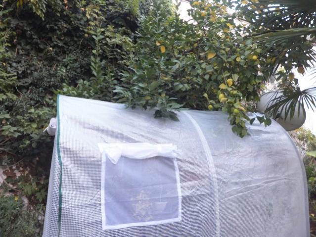 Name:  DSCF4087.jpg
Views: 279
Size:  61.9 KB