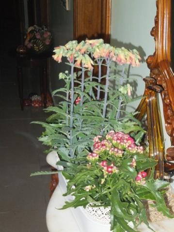 Name:  DSCF4110.jpg
Views: 254
Size:  31.6 KB