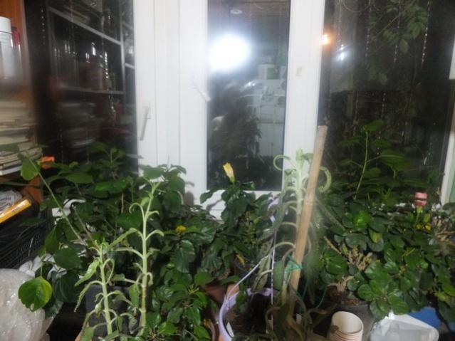 Name:  DSCF4221.jpg
Views: 698
Size:  44.3 KB