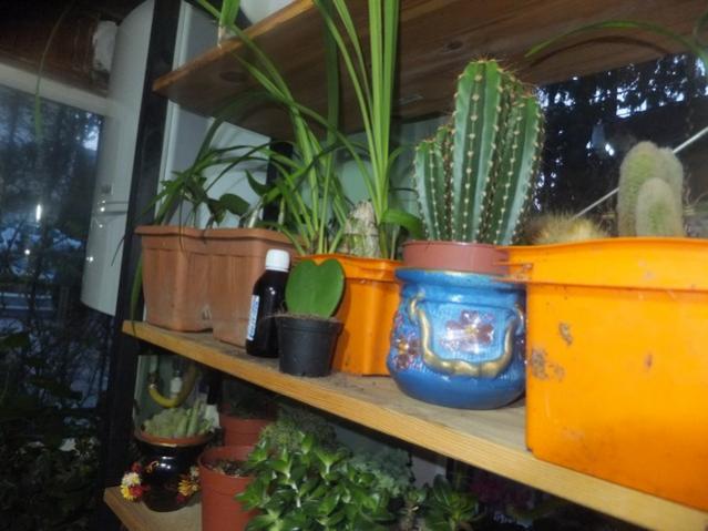 Name:  DSCF4423.jpg
Views: 700
Size:  43.8 KB