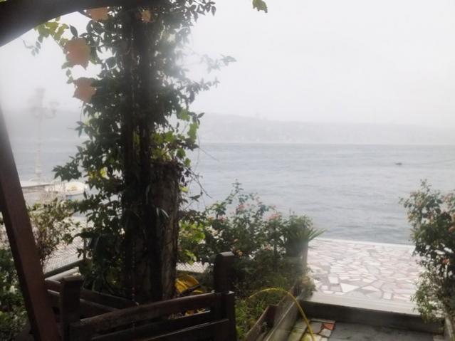 Name:  DSCF4239.jpg
Views: 685
Size:  37.4 KB