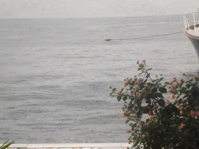 Name:  DSCF4241.jpg
Views: 697
Size:  32.4 KB