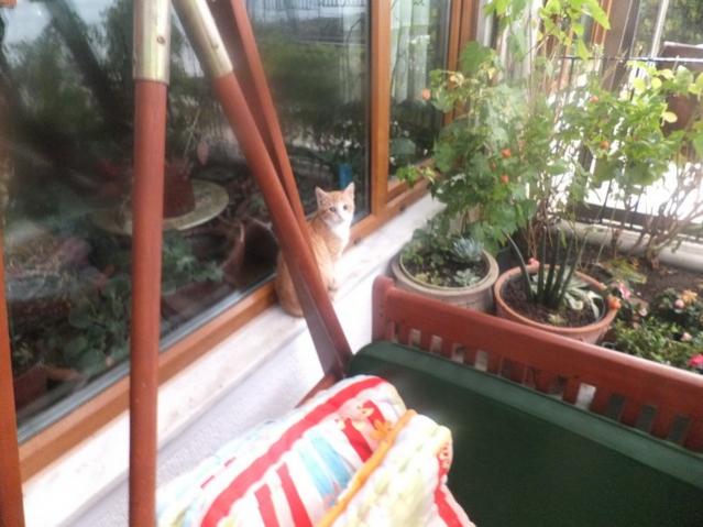 Name:  DSCF4246.jpg
Views: 666
Size:  46.5 KB