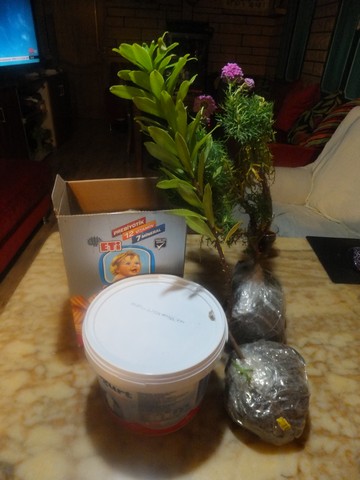 Name:  DSCF4260.jpg
Views: 690
Size:  52.1 KB