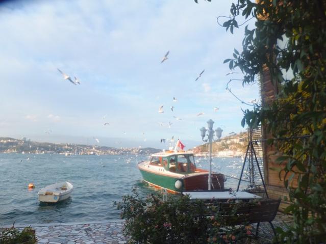 Name:  DSCF4296.jpg
Views: 655
Size:  40.5 KB