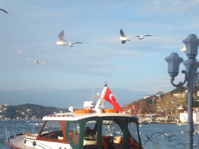 Name:  DSCF4298.jpg
Views: 669
Size:  65.2 KB