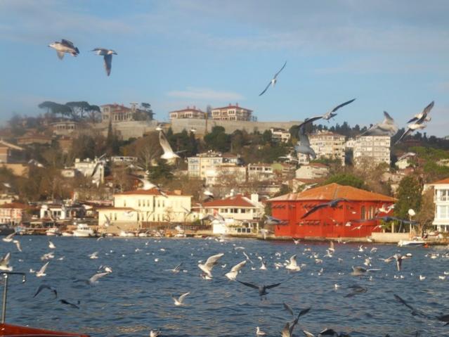 Name:  DSCF4303.jpg
Views: 667
Size:  46.5 KB
