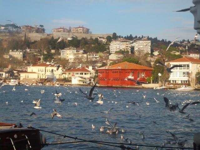 Name:  DSCF4306.jpg
Views: 659
Size:  50.0 KB