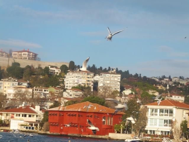 Name:  DSCF4315.jpg
Views: 658
Size:  42.1 KB