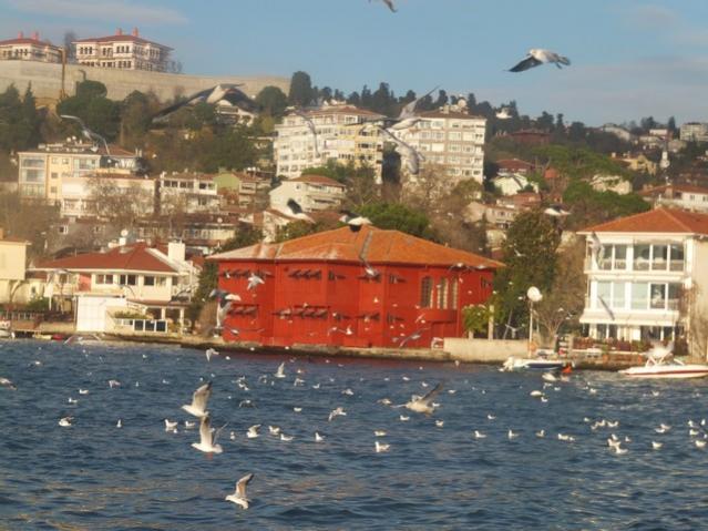 Name:  DSCF4316.jpg
Views: 663
Size:  54.1 KB