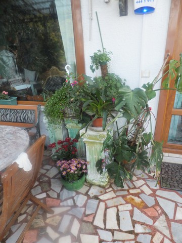 Name:  DSCF4334.jpg
Views: 670
Size:  69.9 KB